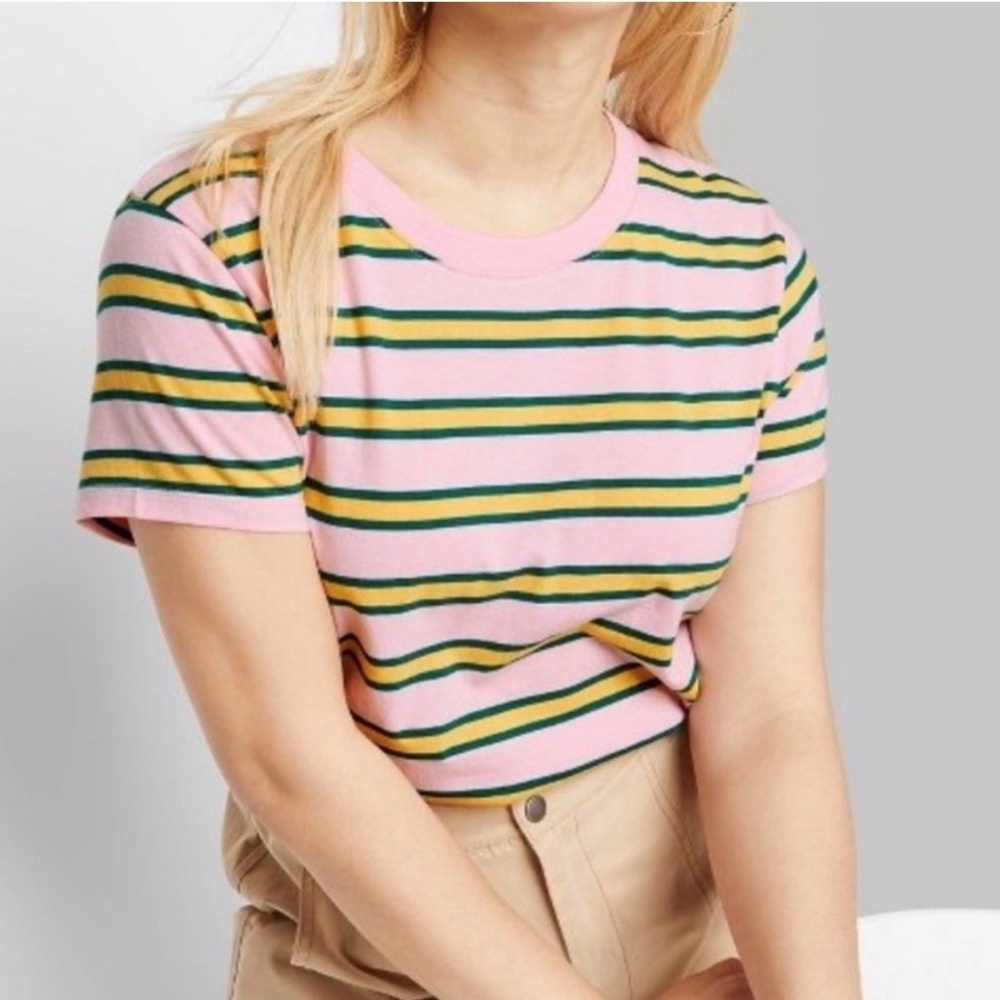 Women’s Wild Fable Pink And Green Striped Cropped Skater Tee XXL